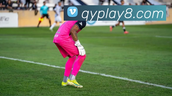 奇亿娱乐官网平台生态图