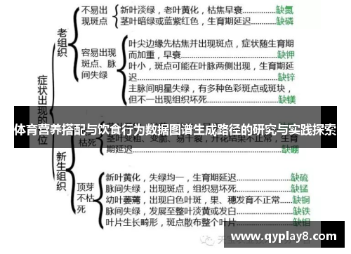 体育营养搭配与饮食行为数据图谱生成路径的研究与实践探索